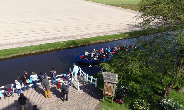 Hollandia arborétum virágok