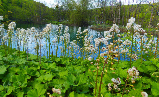 Horvátország szurdok túraút Plitvice vízesések