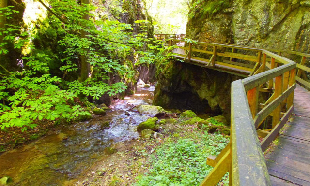 Ausztria Alsó-Ausztria szurdok Würflach Johannesbachklamm