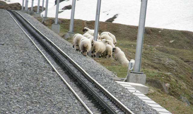 Svájc fogaskerekű vasút vasút Zermatt Gornergrat Gornergratbahn