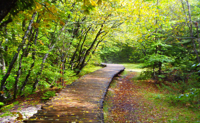 Horvátország szurdok túraút Plitvice vízesések