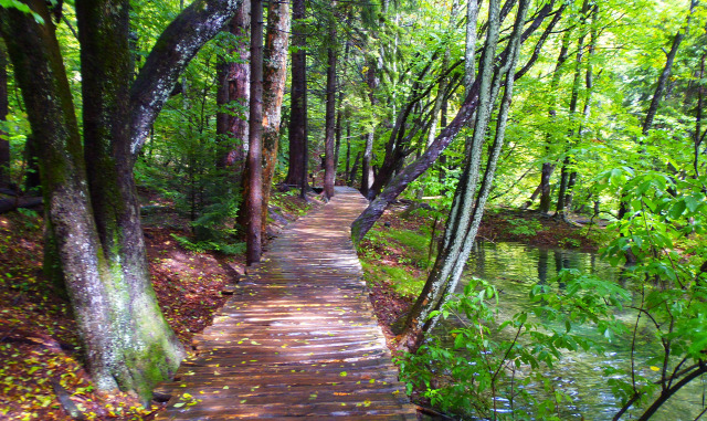 Horvátország szurdok túraút Plitvice vízesések