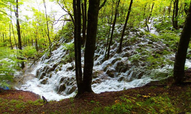 Horvátország szurdok túraút Plitvice vízesések