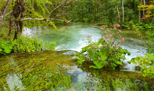 Horvátország szurdok túraút Plitvice vízesések