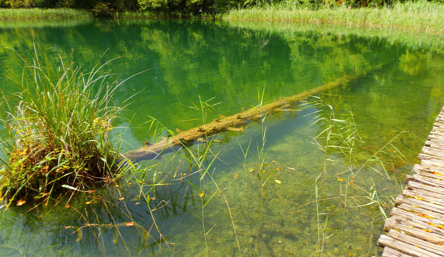 Horvátország szurdok túraút Plitvice vízesések