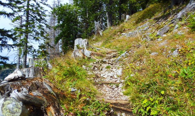 Ausztria Alsó-Ausztria Schneeberg hegy szurdok libegő Weichtalklamm csúcskereszt