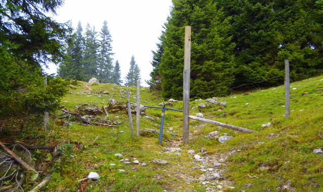 Ausztria Alsó-Ausztria Schneeberg hegy szurdok libegő Weichtalklamm csúcskereszt