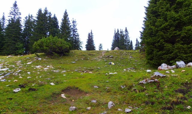 Ausztria Alsó-Ausztria Schneeberg hegy szurdok libegő Weichtalklamm csúcskereszt