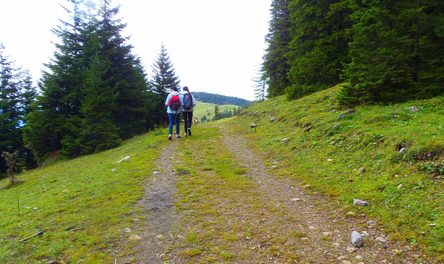 Ausztria Alsó-Ausztria Schneeberg hegy szurdok libegő Weichtalklamm csúcskereszt