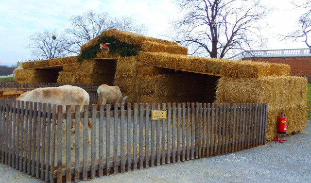 Ausztria Alsó-Ausztria várak adventi vásár Schloss Hof