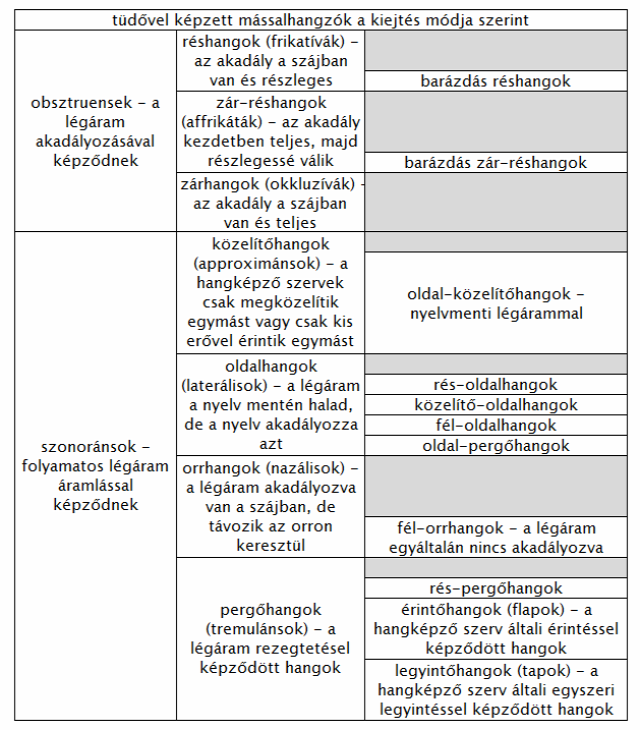 nyelv