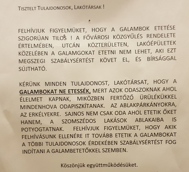 ágyi poloska poloskatérkép Budapest Magyarország Ingatlanműhely