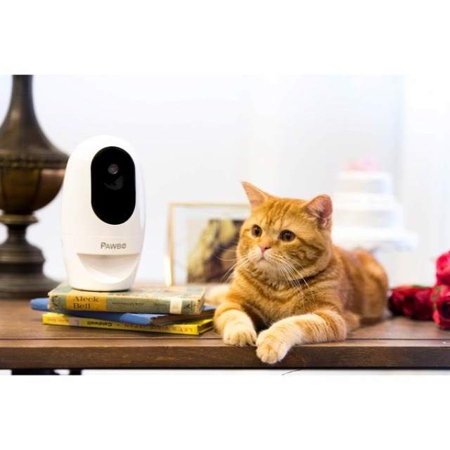 feladat okos otthon otthonautomatika vezetéknélküli kamera