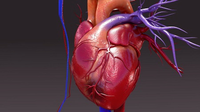 szívinfarktus szívfájdalom szívbetegség Dr. Vaskó Péter
