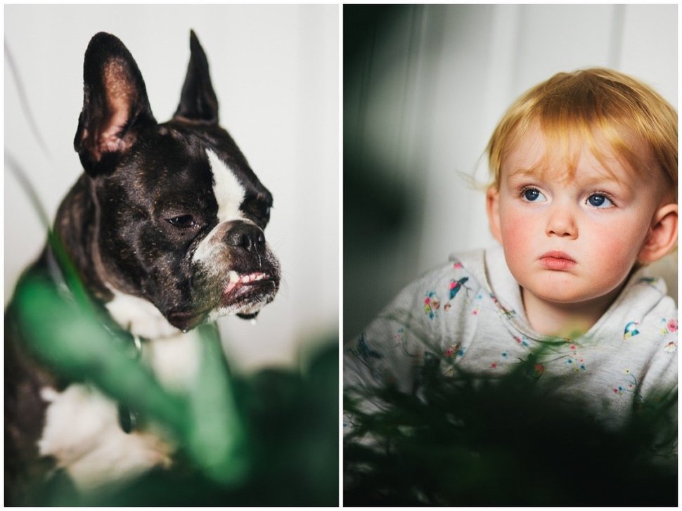 fotóművészet gyerekek szép cuki kutya