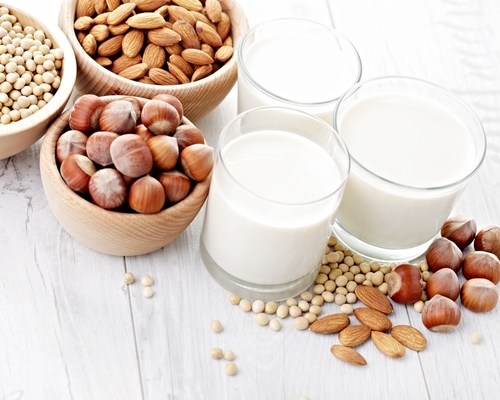 növényi tej tehéntej laktózérzékenység tejfehérje-allergia magtej hogyan