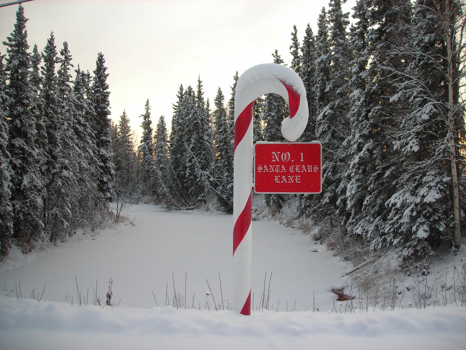 Mikulás Santa Claus North Pole Kris Kringle Twinkle ünnep starlight