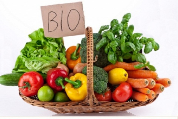 bio táplálkozás egészség