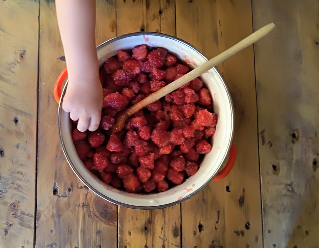 DIY csináldmagad eper gastro kert lekvár