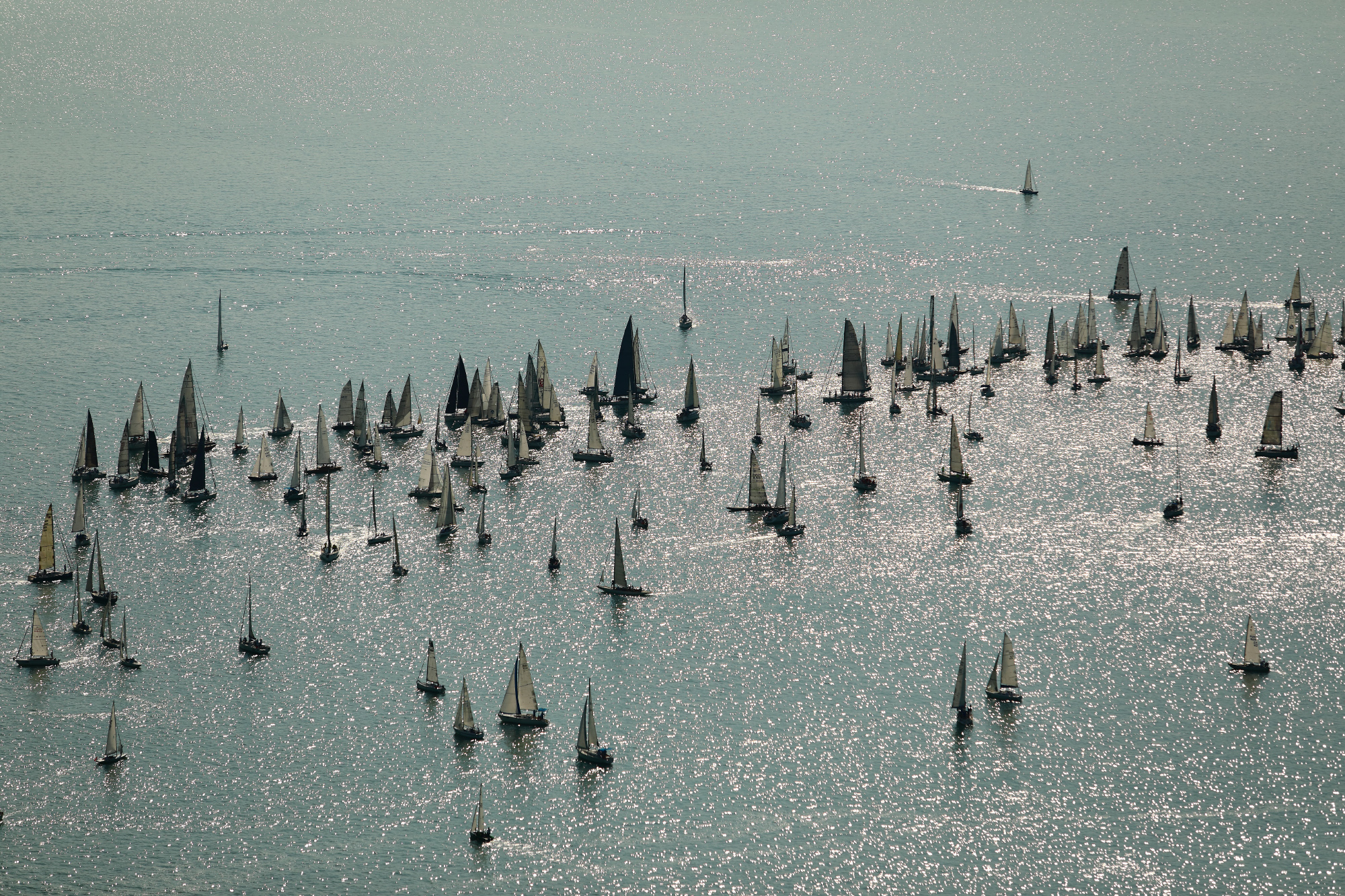 51. Kékszalag Nagydíj  vitorlázás  Balaton  verseny  2019