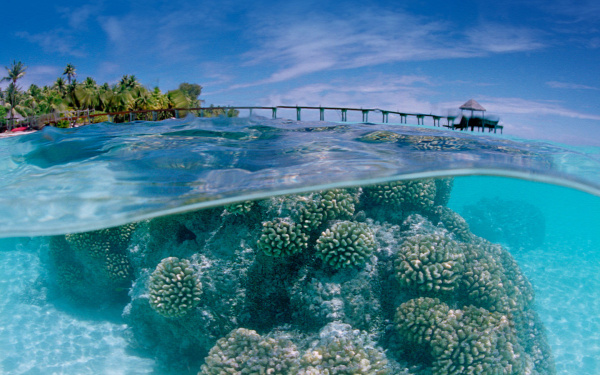 Holt-tenger Gleccser Nemzeti Park Galápagos-szigetek Maldív-szigetek Madagaszkár Nagy-korallzátony Ausztrália Velence Pavlopetri Tádzs Mahal Külföldi kaland