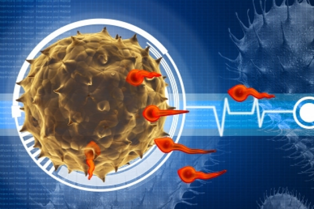 molbiol biológia élettudomány orvosbiológia CRISPR géntechnológia IVF