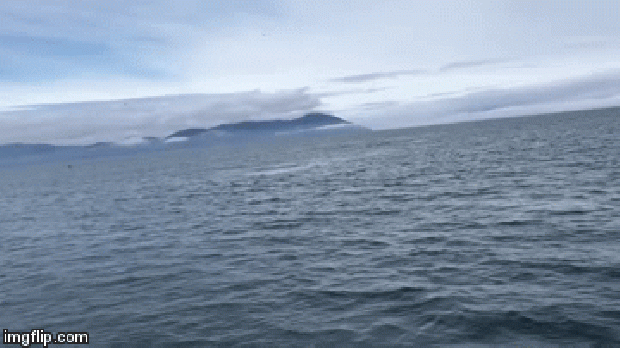 bálna les  Alaszka fröcskölés ugrás