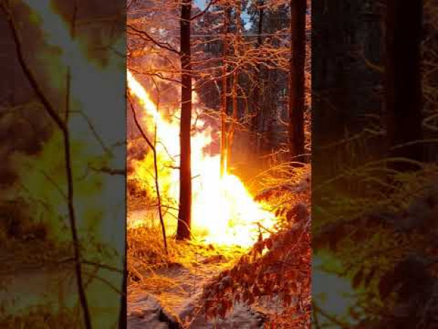 erdő tűz elektromos felsővezeték