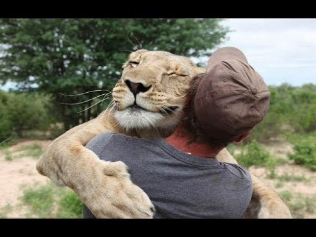 állat szeretet ölelés
