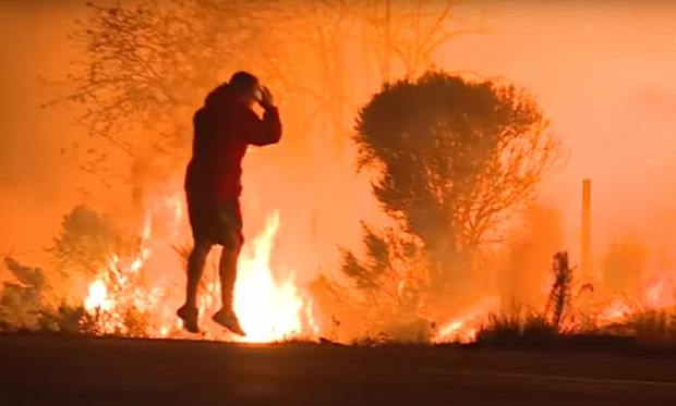 kalifornia tűz mentés nyúl