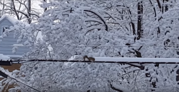 mókus hó takarítás