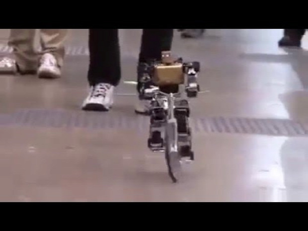 bringa kerékpár bicikli robot