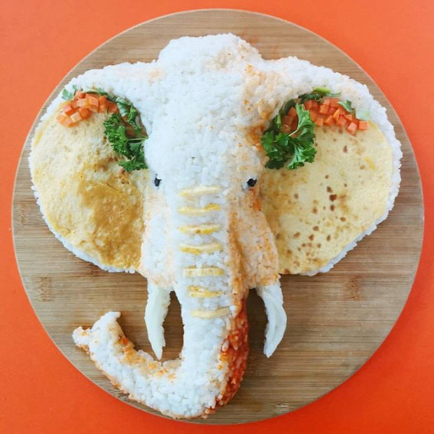 dizájn tányér étel állat