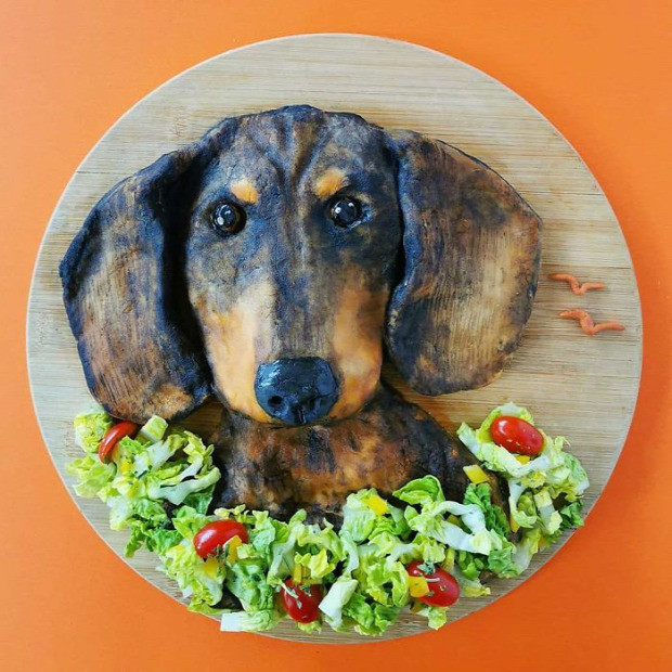 dizájn művészet étel tányér állat