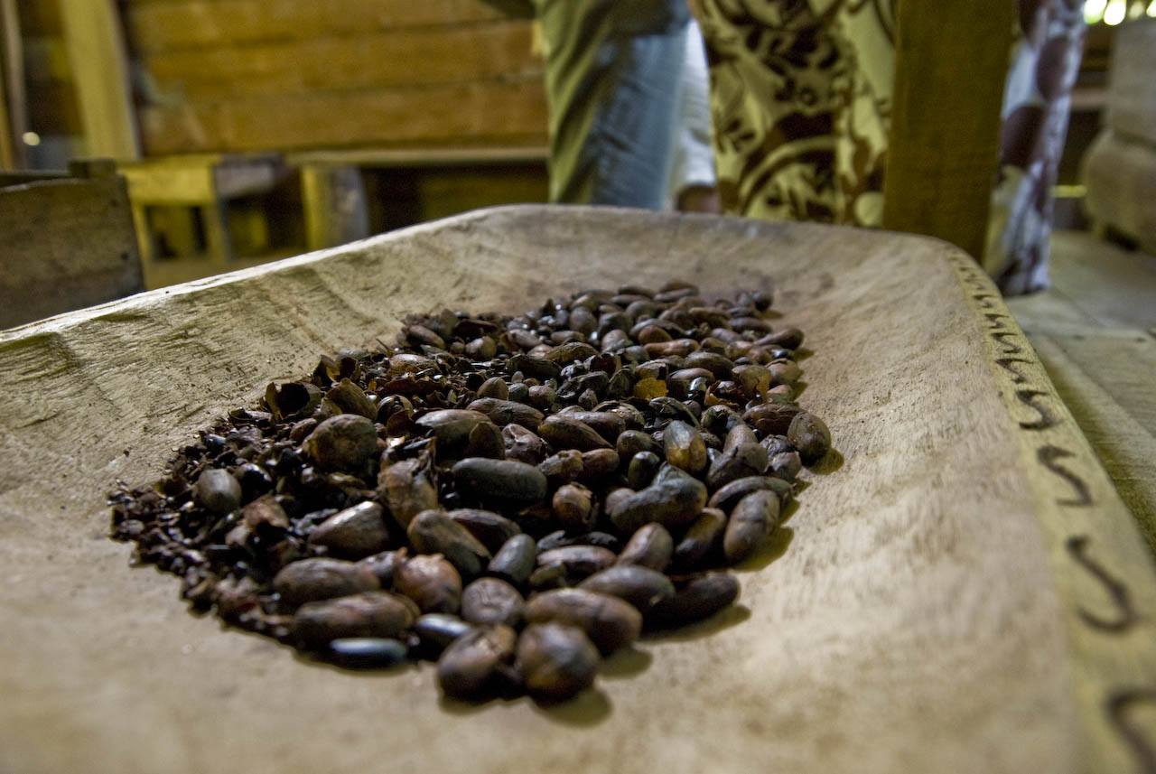 Как вырастить кофейные зерна. Кот ДИВУАР плантации какао. Кот ДИВУАР кофе. Коста Рика кофейные плантации. Какао Бобы.