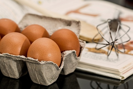 élelmiszer-biztonság felmérés Nébih tojás