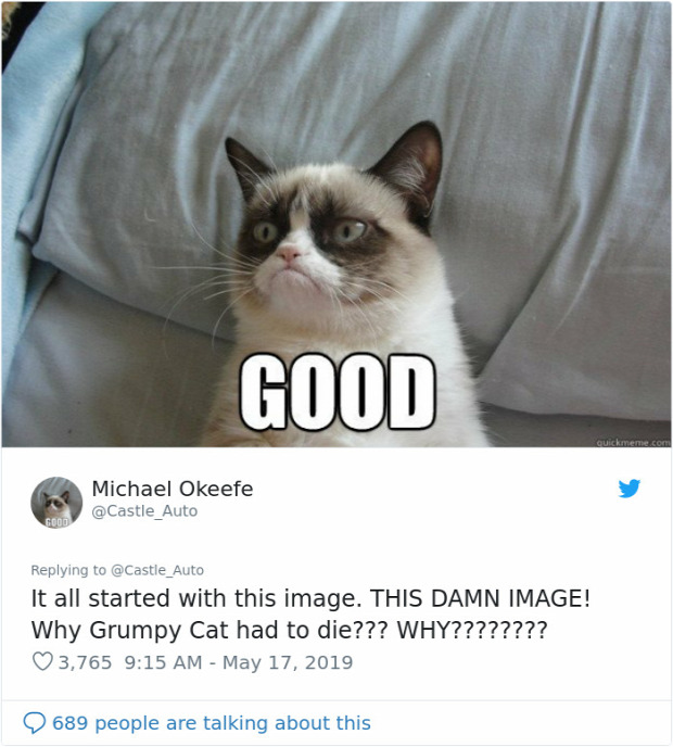 Grumoy cat meghalt elpusztult