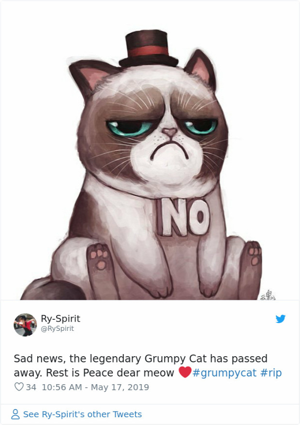 Grumoy cat meghalt elpusztult