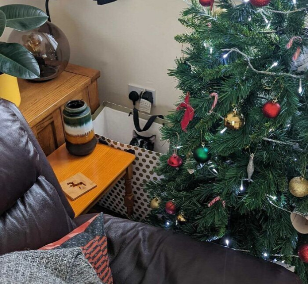 karácsony ünnep karácsonyfa