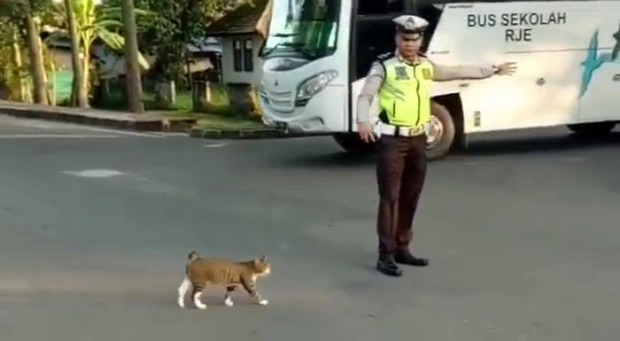 úttest rendőr irányít