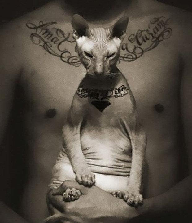 szfinx tetoválás orosz