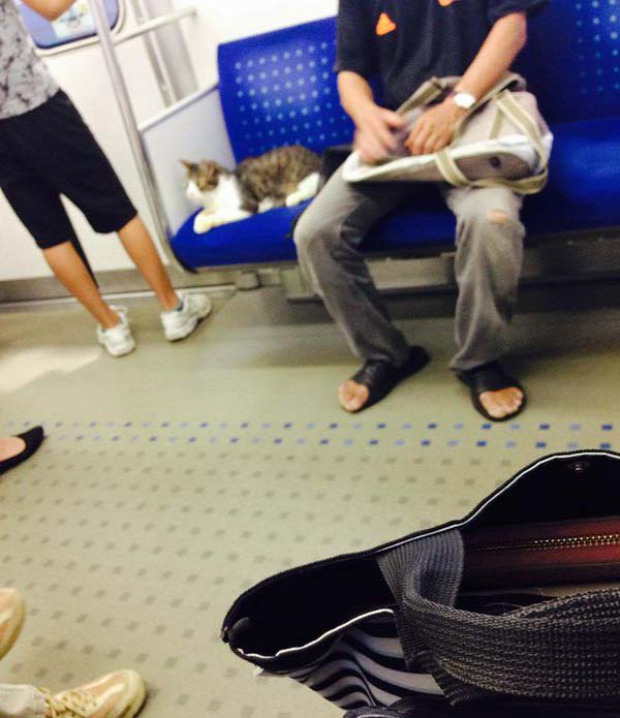 japán metró utazik