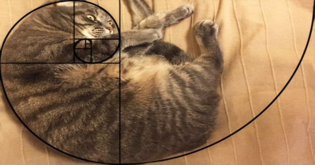 matematika fibonacci