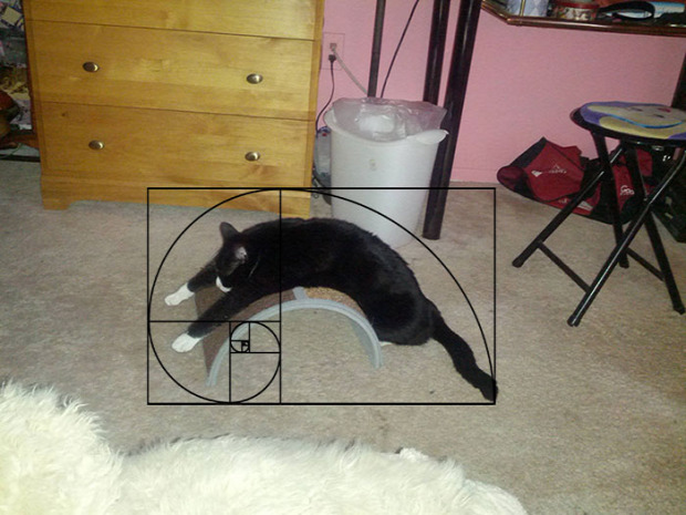 matematika fibonacci