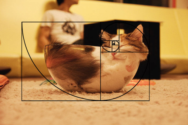 matematika fibonacci