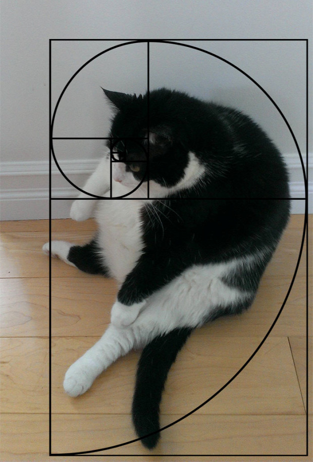 matematika fibonacci