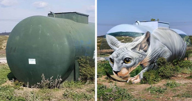 TARTÁLY macska szfinx graffiti 3D