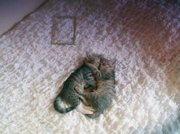 ölel bújik alszik együtt