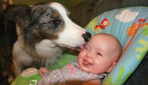 kutya baba újszülött
