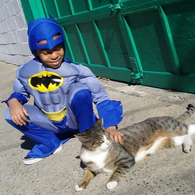 szperhős fiú Catman